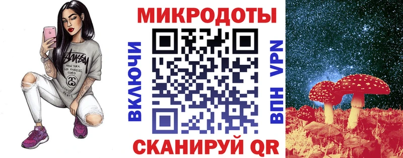 Псилоцибиновые грибы Psilocybe  купить наркоту  Тутаев 
